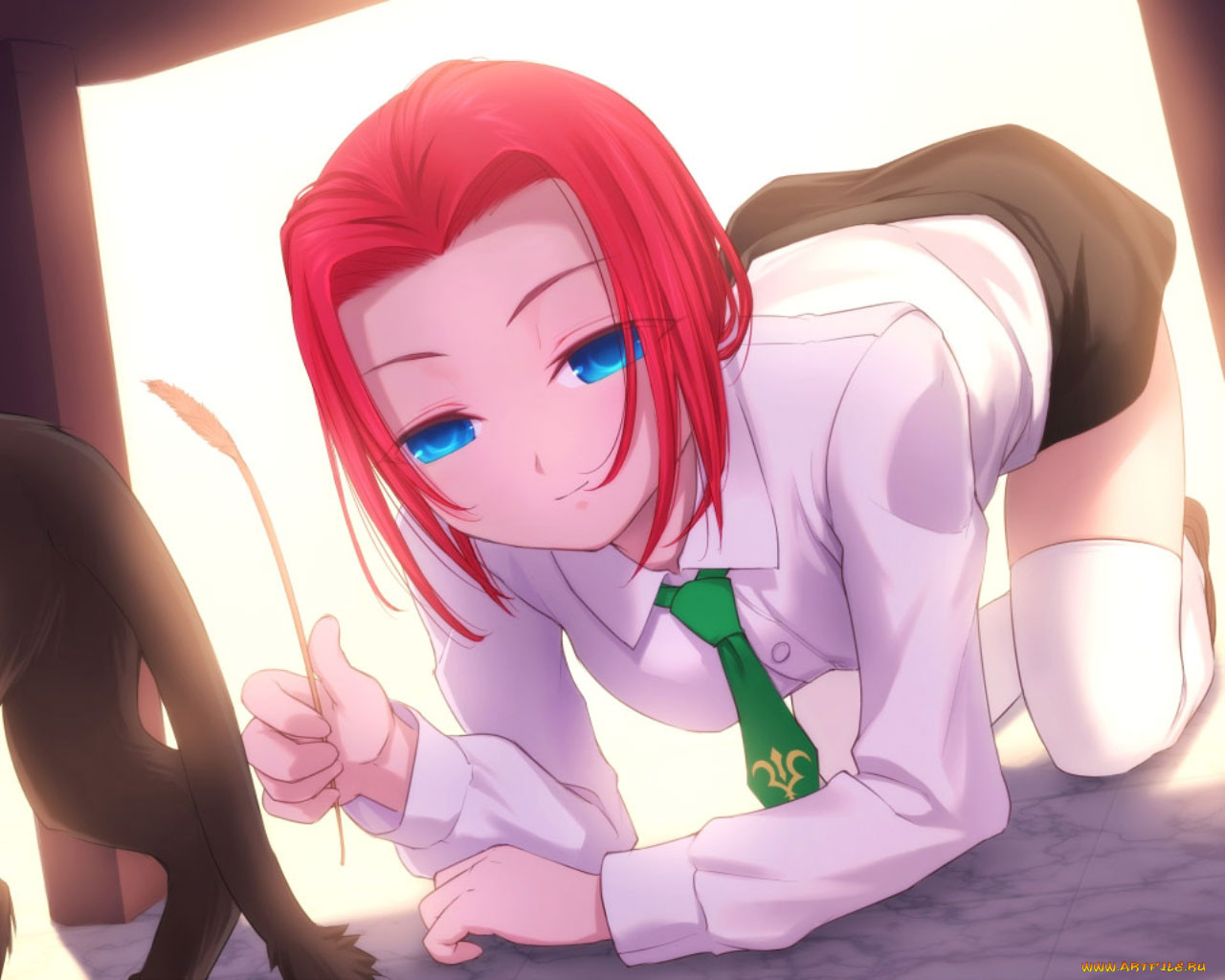 , code, geass